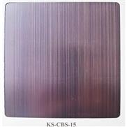 CS-CBS-15
