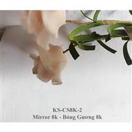 Tấm Inox bóng gương 8K